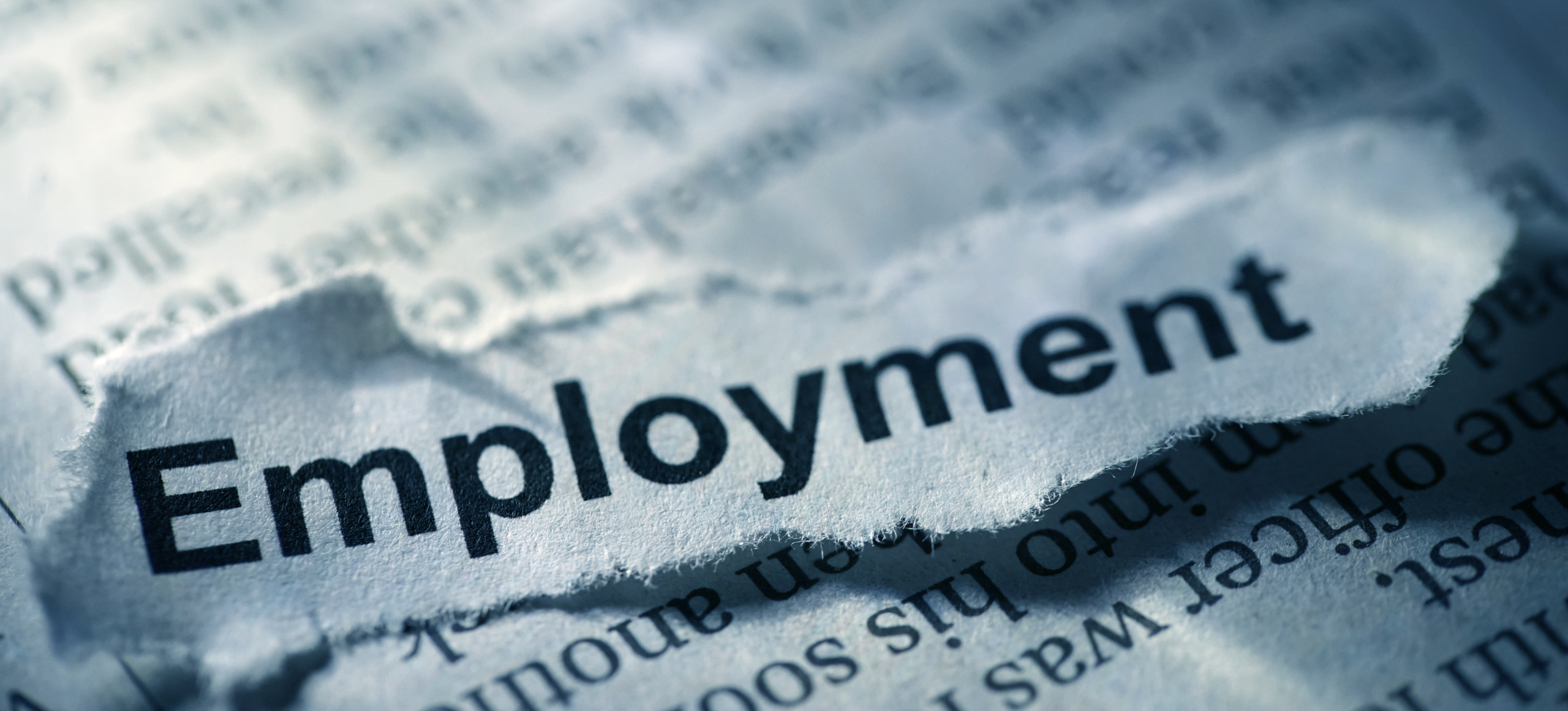 Expert insight into recent employment news
